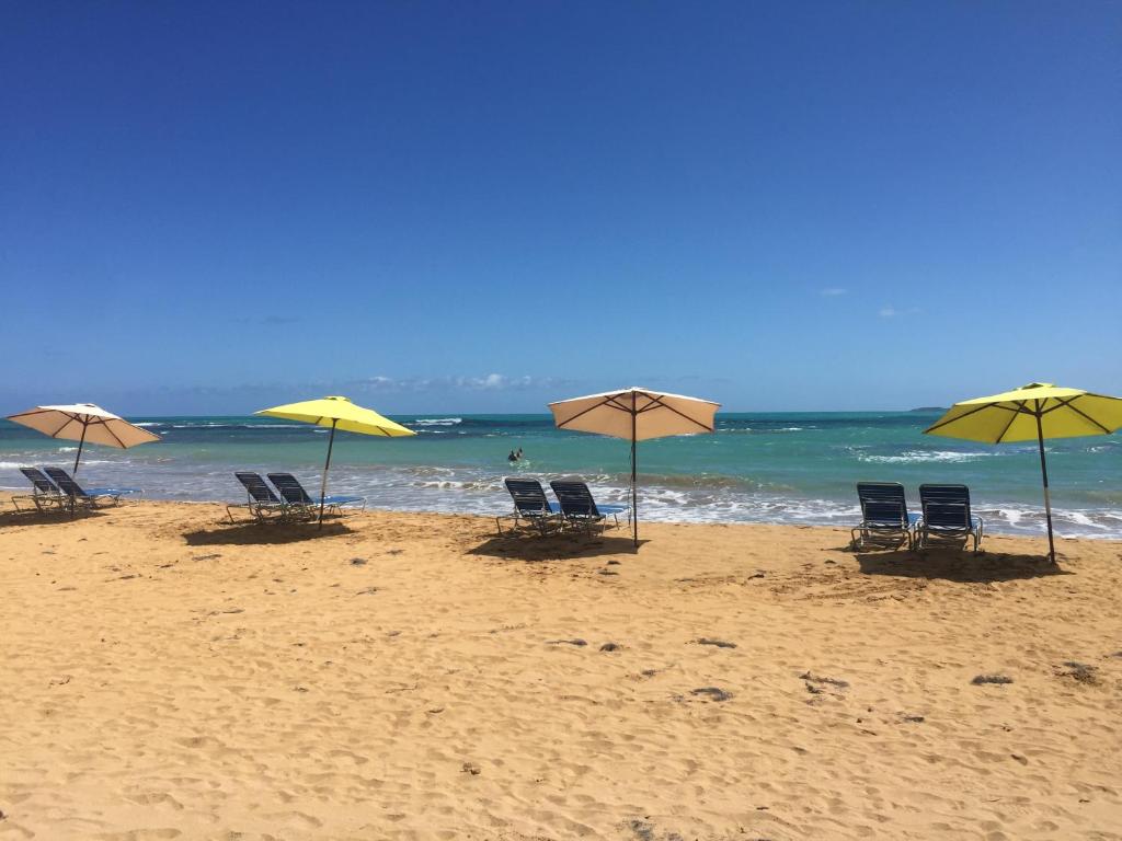 a group of chairs and umbrellas on a beach at Blue Leaf by the Sea in Luquillo