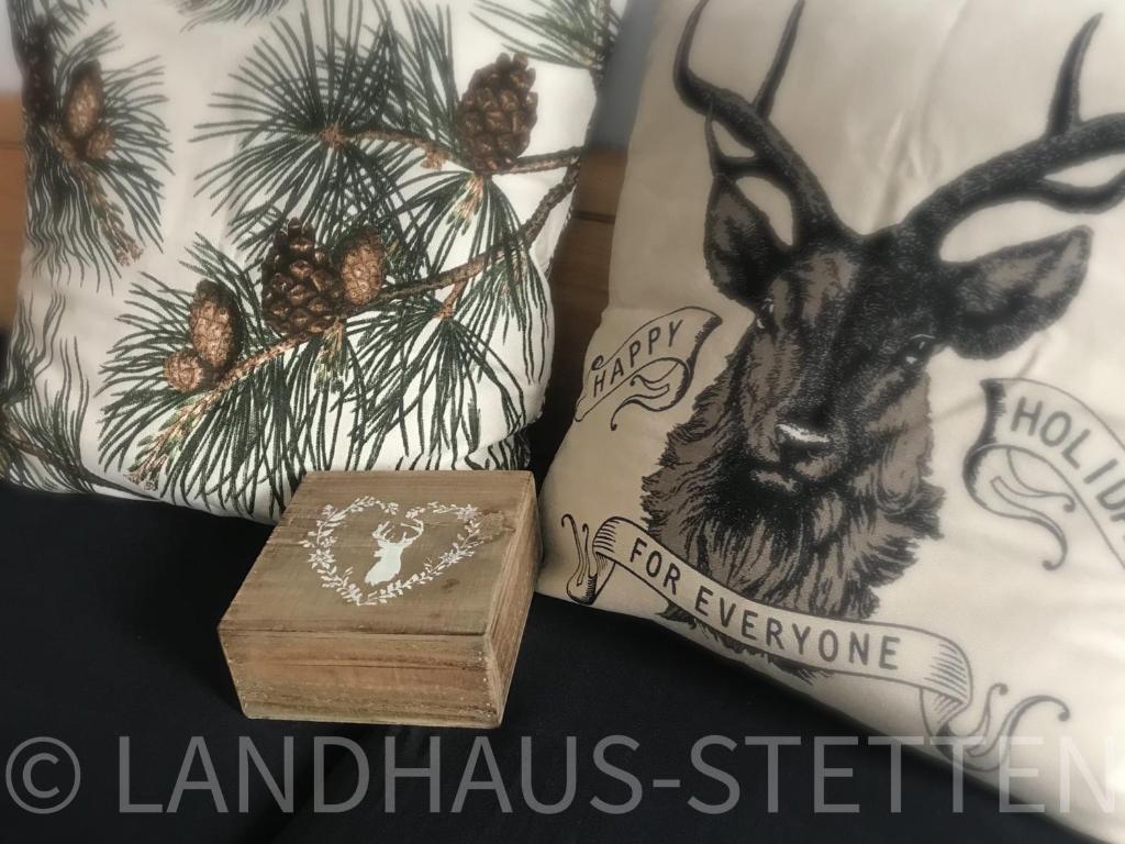 a wooden box sitting next to pillows with a deer head at Landhaus Stetten in Stetten