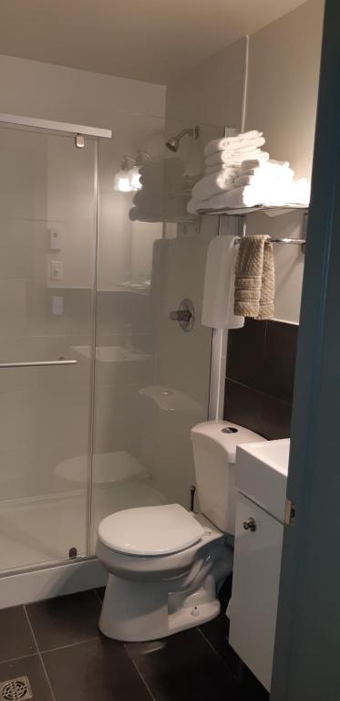 a bathroom with a white toilet and a shower at Oberge Inn Val-David in Val-David