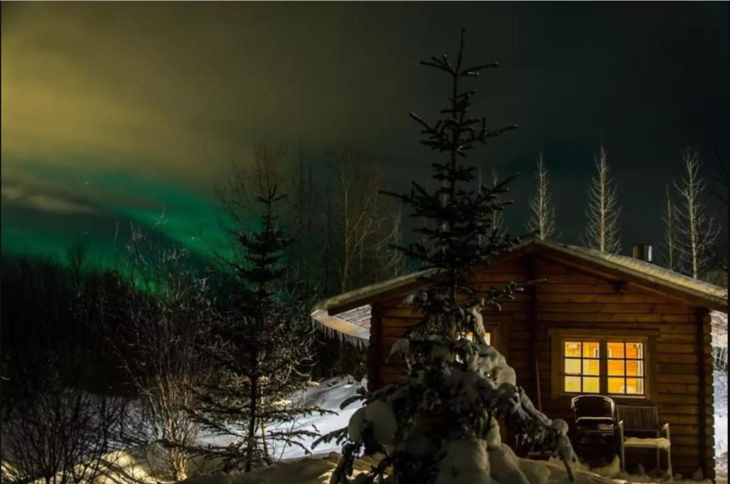 an image of a cabin with the northern lights in the sky at Arngrimslundur log cabin - cabin 3 in Fludir