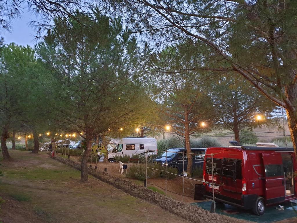 Fotografie z fotogalerie ubytování AGRiCAMPiNG POGGiO Ai PiNi WiNE CAMPiNG v destinaci Certaldo