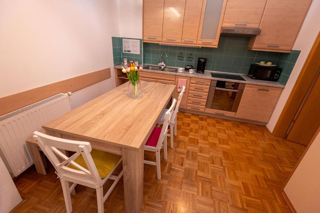 Kuchyň nebo kuchyňský kout v ubytování Apartment Stella