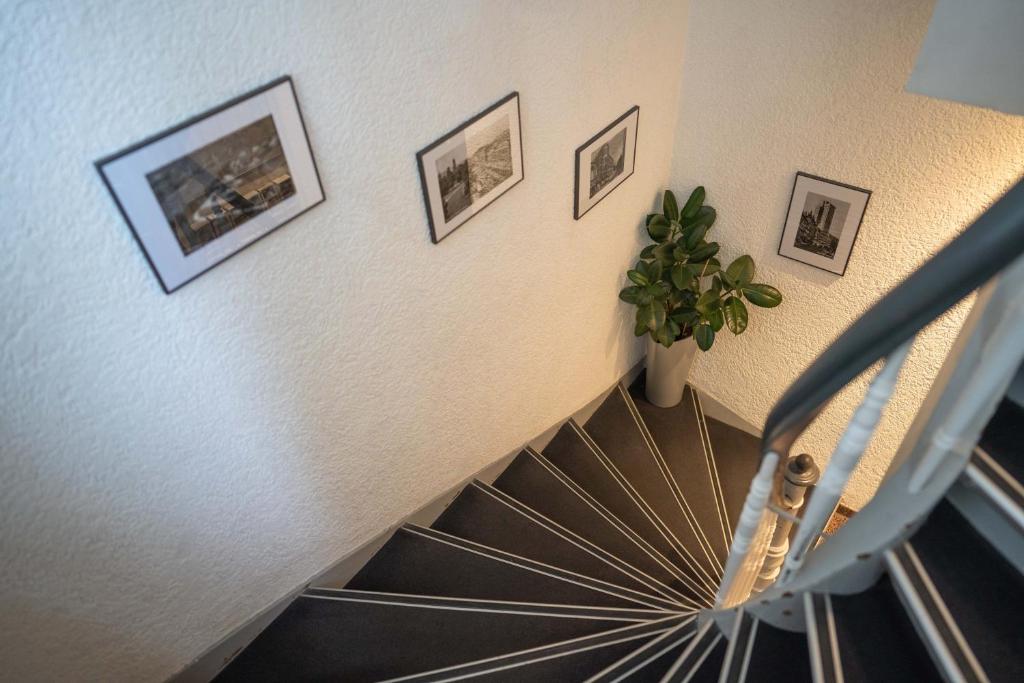 a spiral staircase with a plant and pictures on the wall at Pension am Heusteig in Stuttgart