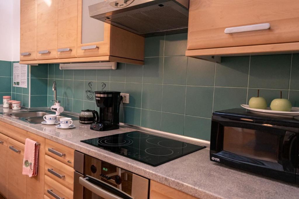 Kuchyň nebo kuchyňský kout v ubytování Apartment Stella