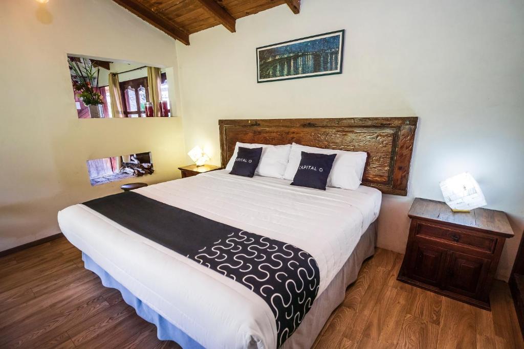 Hotel Pozo Viejo - Suite Junior