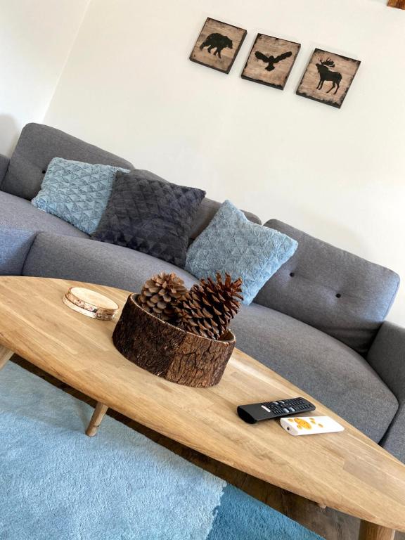 Posezení v ubytování Apartmán Mladé Buky