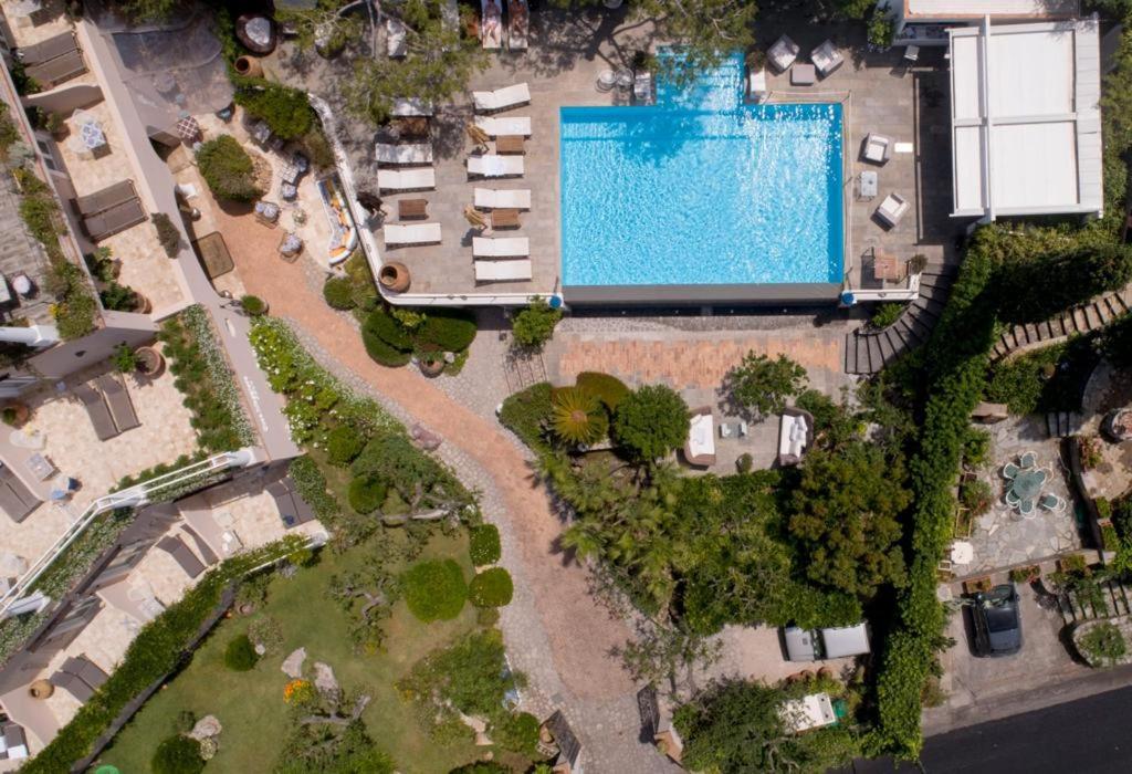 an aerial view of a swimming pool in a villa at Hotel Orsa Maggiore in Anacapri