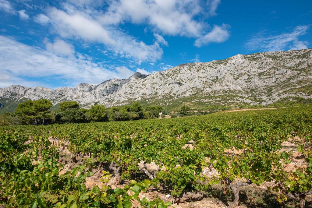 Comfort Aparthotel Aix Le Tholonet - Resim 20