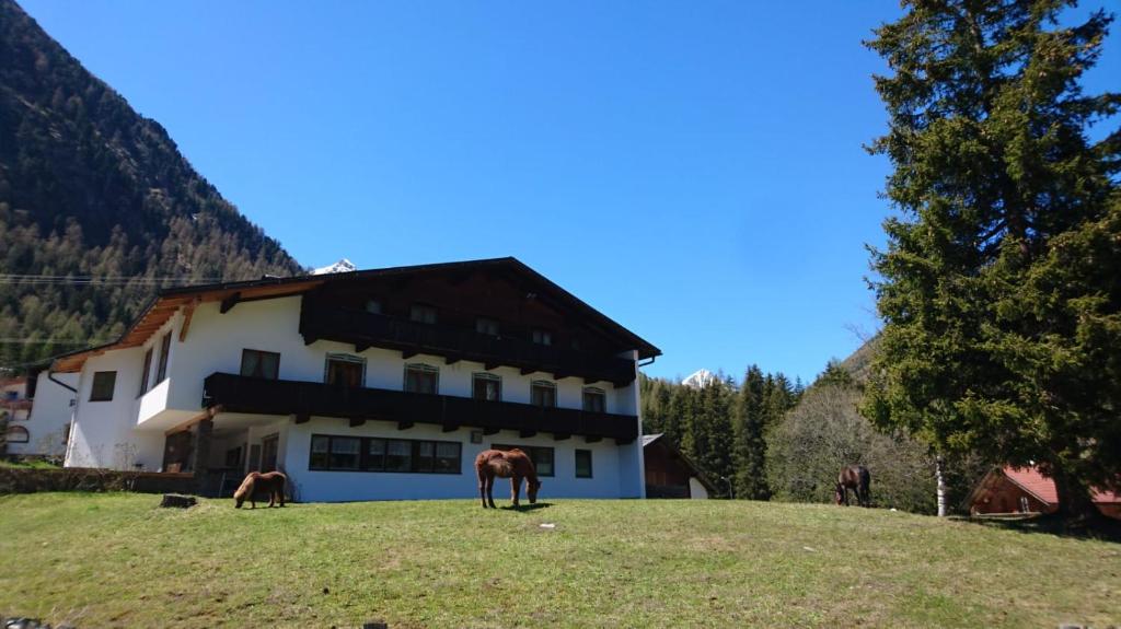 Sankt Sigmund im SellrainにあるPension Alpenroseの建物前の馬の群れ