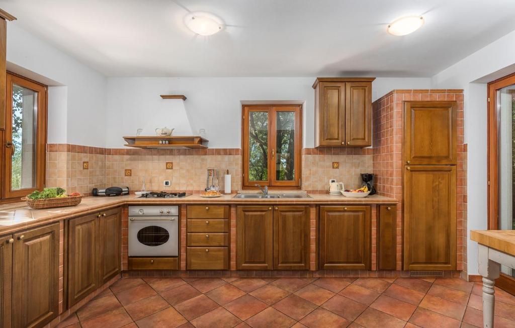 Kuchyň nebo kuchyňský kout v ubytování Villa Ana Vlakovo