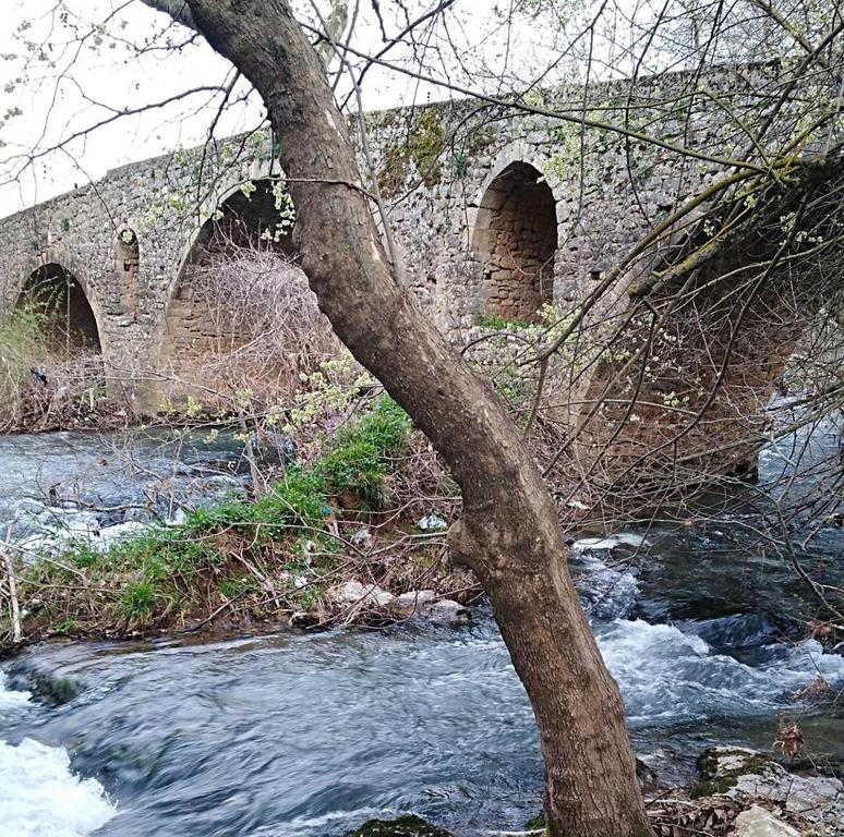 Príroda v okolí horskej chaty