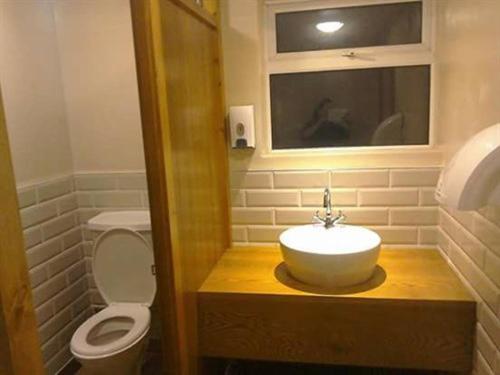 a bathroom with a sink and a toilet at Holland Hotel in Llanfachraeth