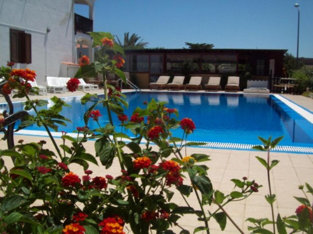 a large swimming pool with flowers in front of it at B&B La Posada Stintino in Stintino