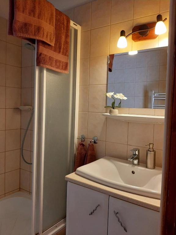 Bodza Vendégház - Apartmanház - Standaardappartement