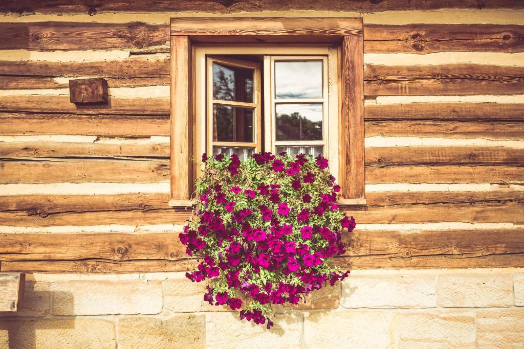 Fotografie z fotogalerie ubytování Roubenka u Huvarů v destinaci Tachov