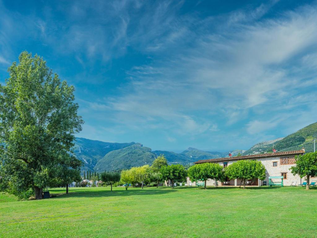 a field with a tree and mountains in the background at Holiday Home I Pioppi - CMA107 by Interhome in Camaiore