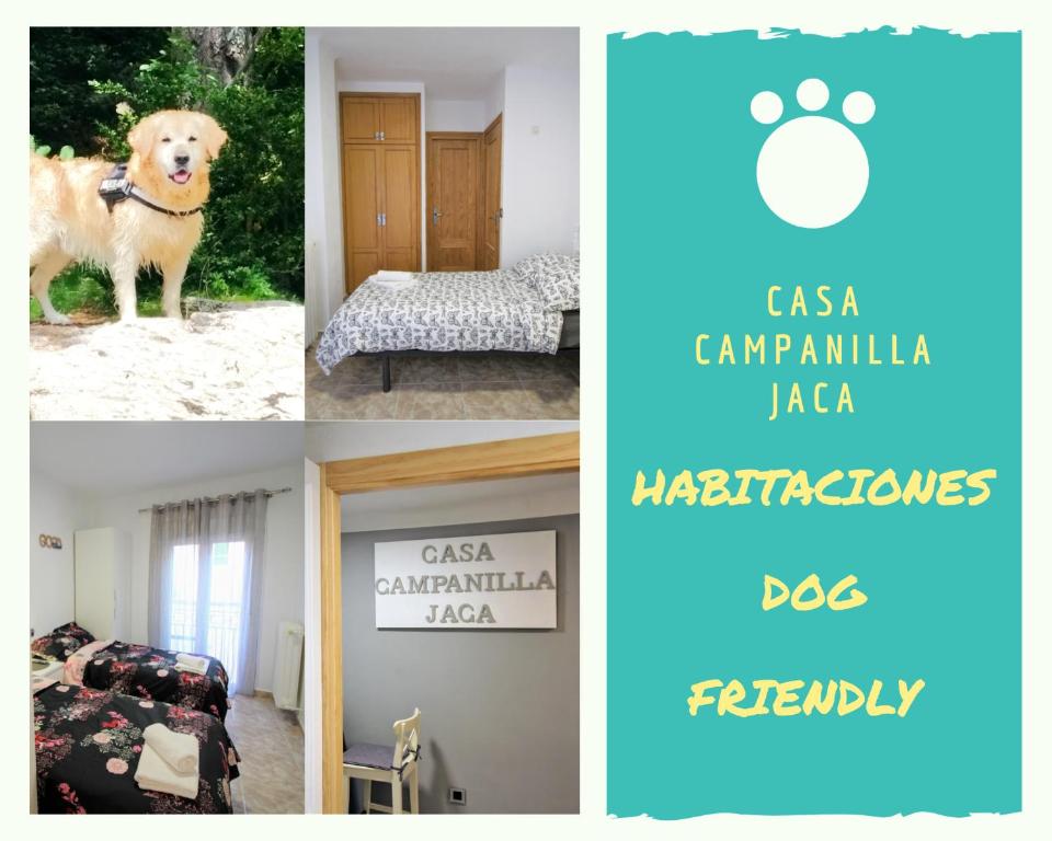 Hostales o pensiones Casa Campanilla Jaca en Jaca, Aragón