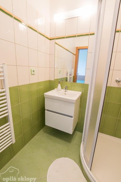 Koupelna v ubytování Opilé Sklepy