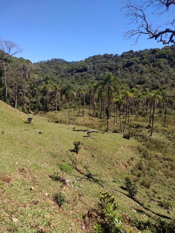  Estufa Martendal