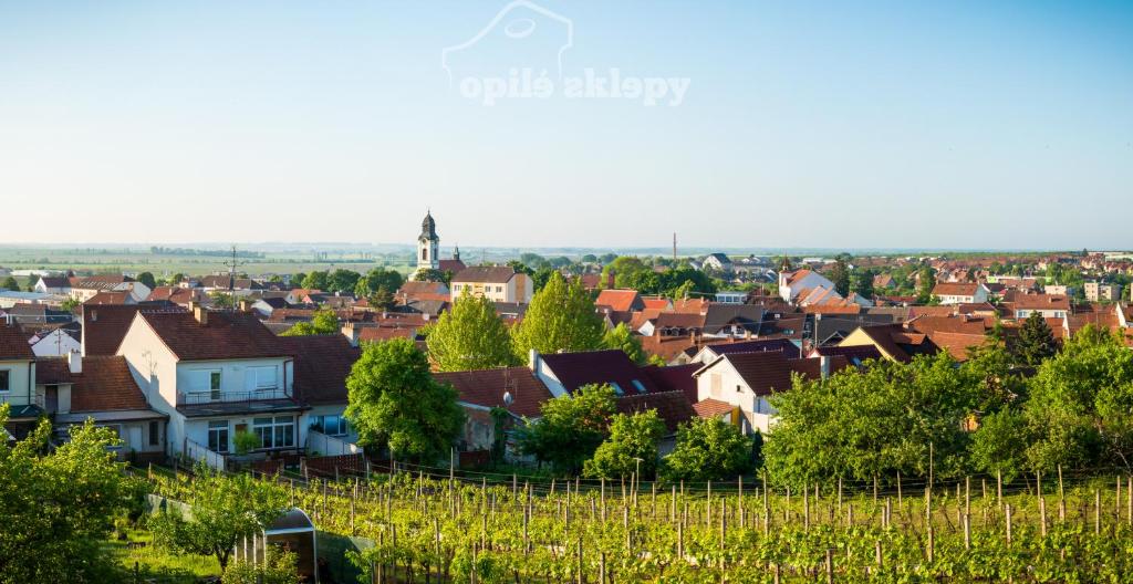 Příroda nedaleko apartmánu