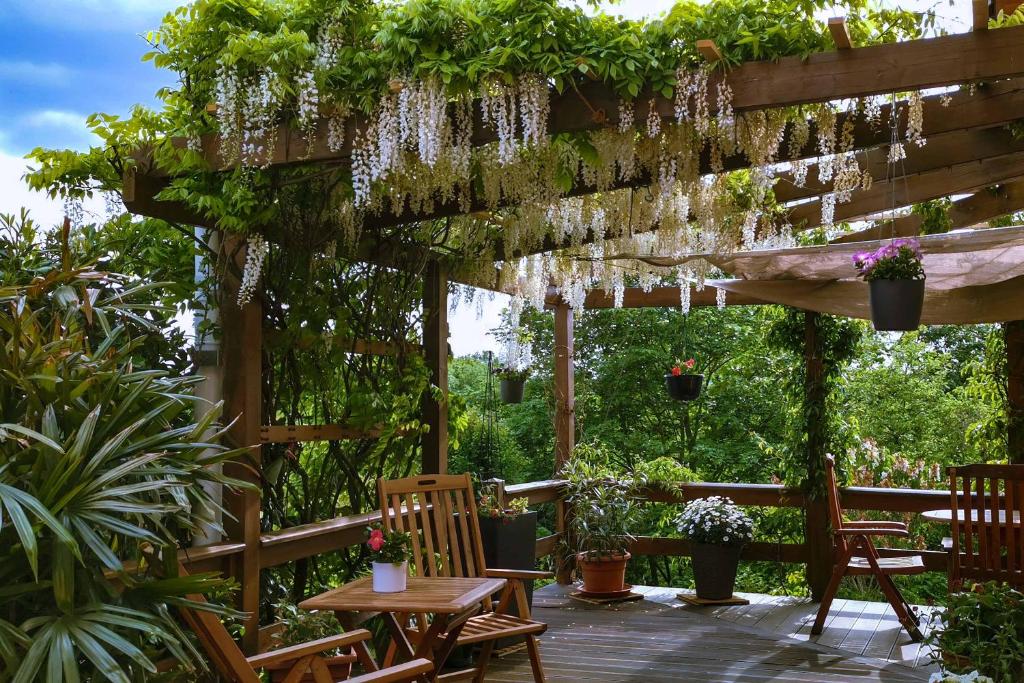 eine Terrasse mit Stühlen und einer Pergola mit Pflanzen in der Unterkunft Ferienwohnung an den Grundwiesen in Jena