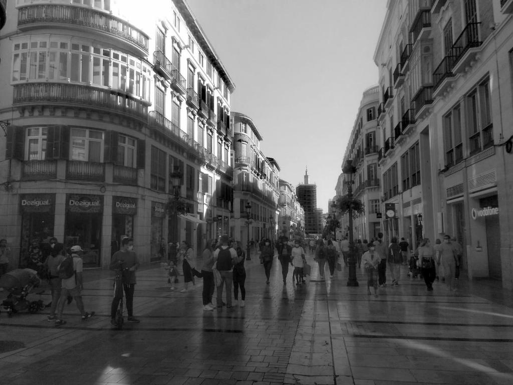 Hostia v ubytovaní Budha Luxury Apartment Centro Histórico de Málaga