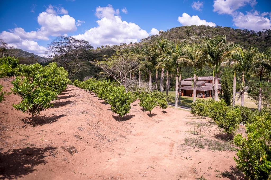  Casa Linda em Teresopolis com pomar de frutas
