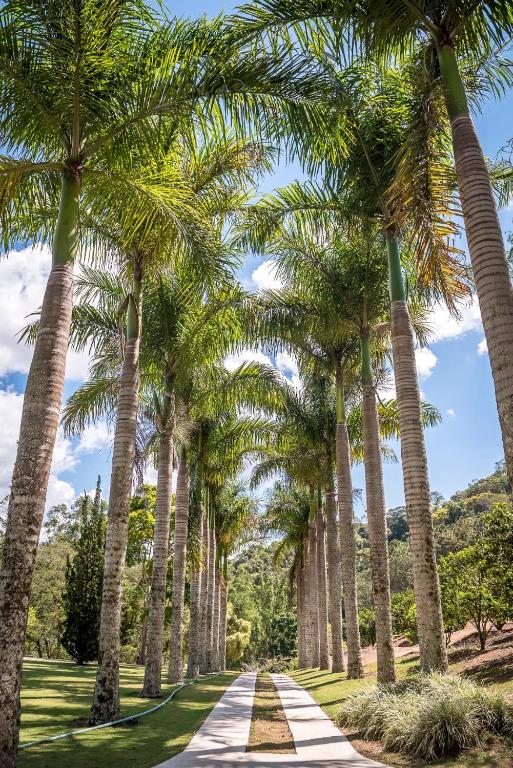  Casa Linda em Teresopolis com pomar de frutas