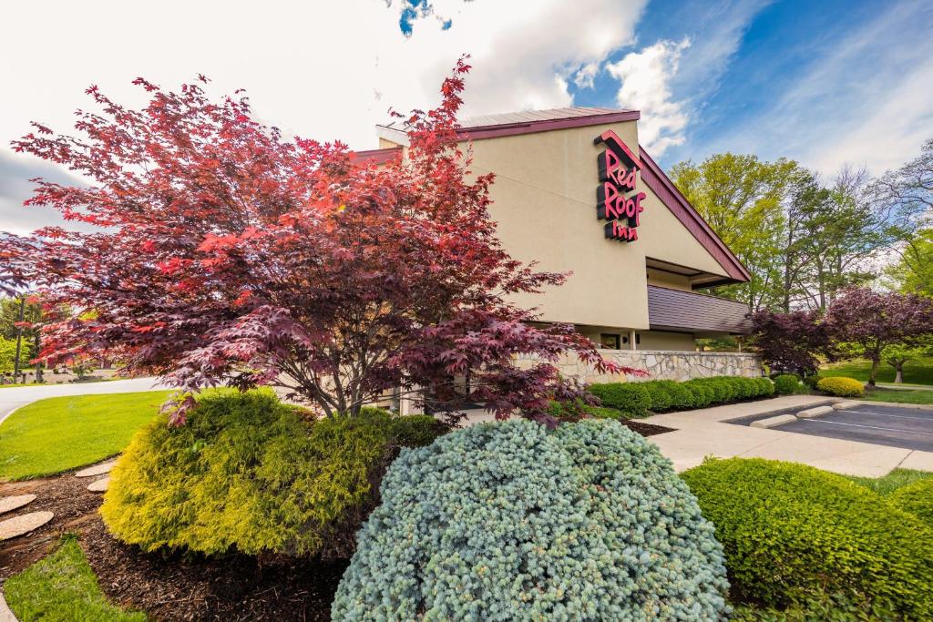 a building with a flowering tree and bushes at Red Roof Inn Cincinnati Northeast - Blue Ash in Blue Ash