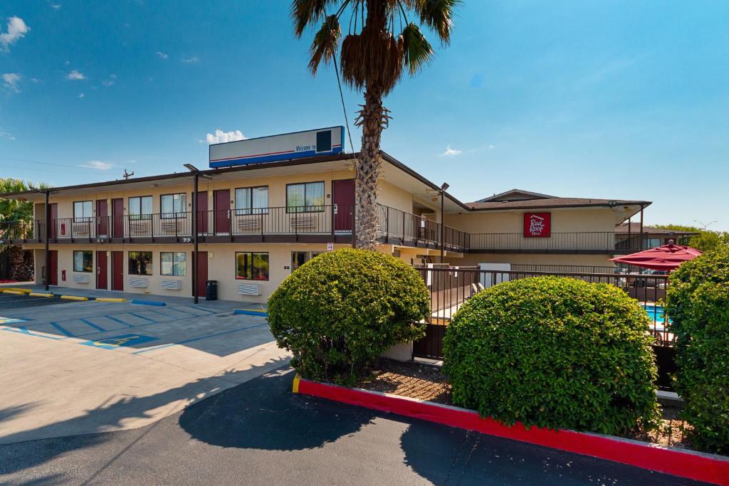 a building with a palm tree in front of it at Red Roof Inn San Antonio E - Frost Bank Center in San Antonio