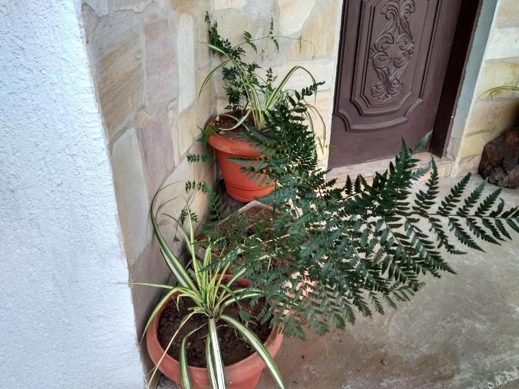  Recanto Vieira