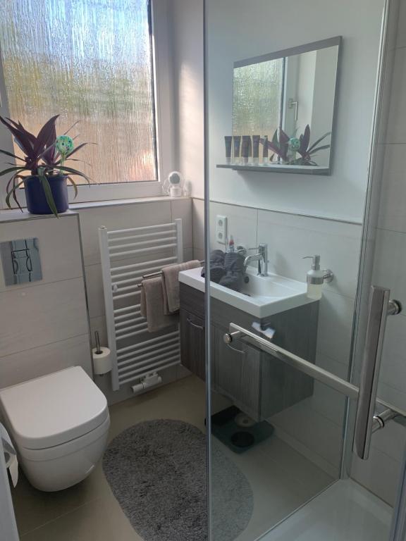 Koupelna v ubytování Sauerlandblick - Appartement & FeWo Wickede