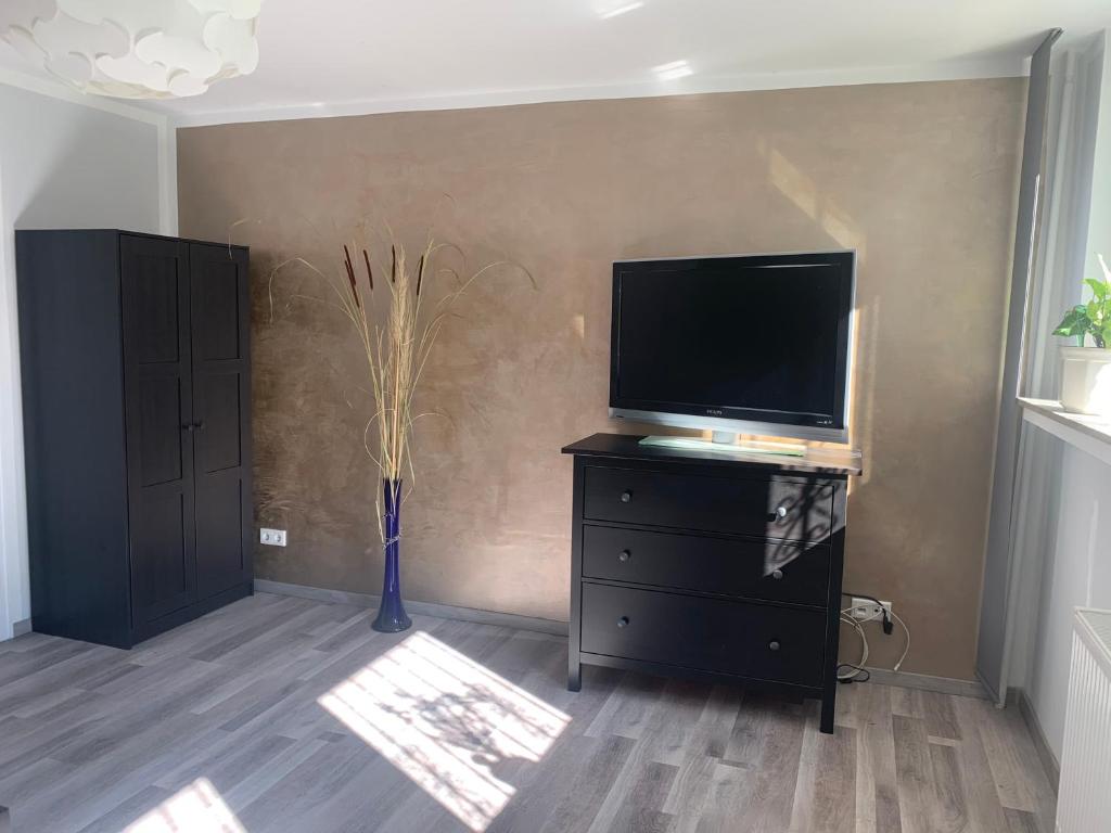 TV a/nebo společenská místnost v ubytování Sauerlandblick - Appartement & FeWo Wickede