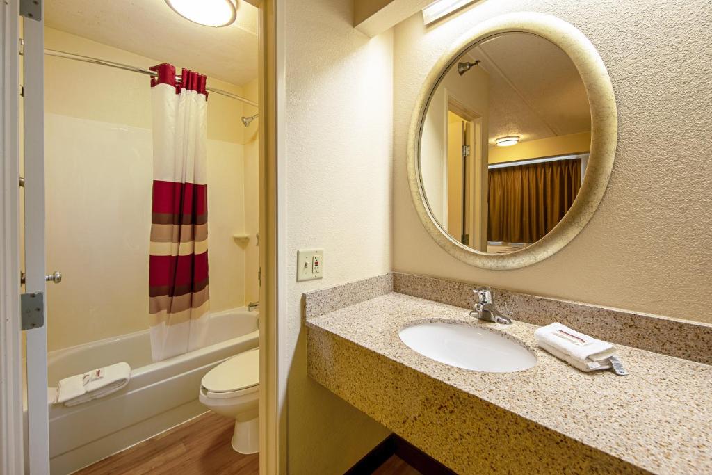 a bathroom with a sink and a toilet and a mirror at Red Roof Inn Johnson City in Johnson City