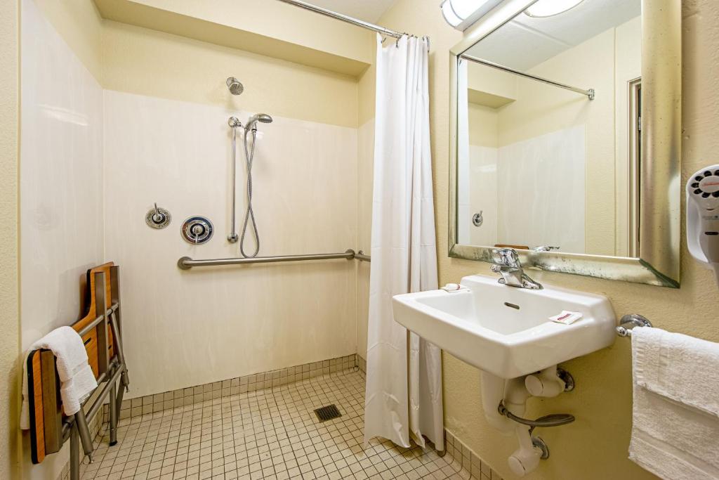 a bathroom with a sink and a shower at Red Roof Inn Johnson City in Johnson City