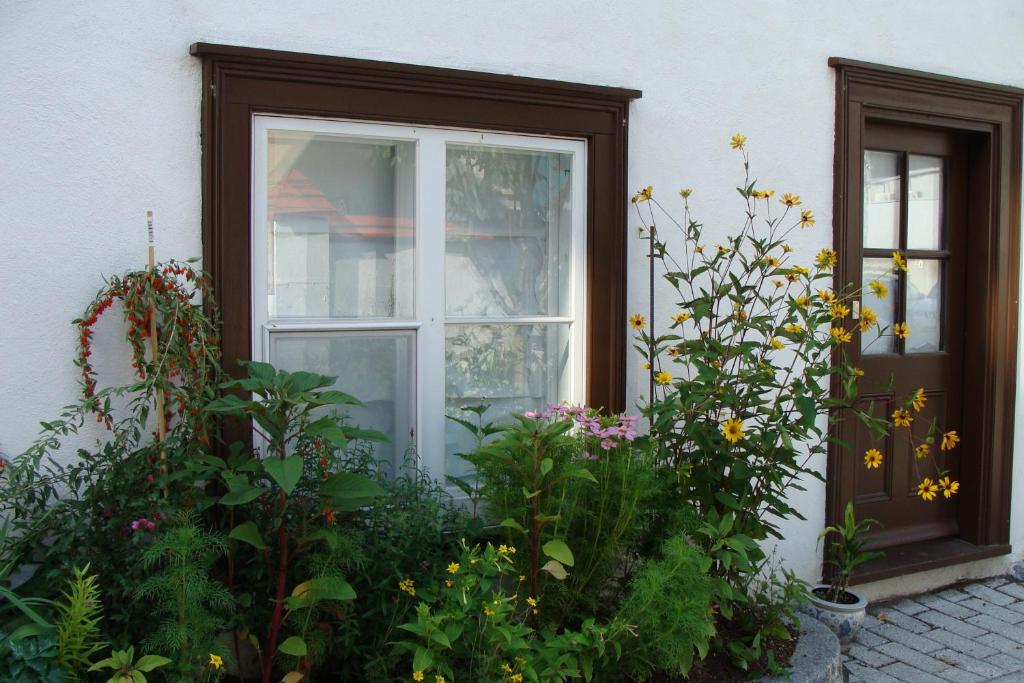 Zahrada ubytování Au Petit Hôtel