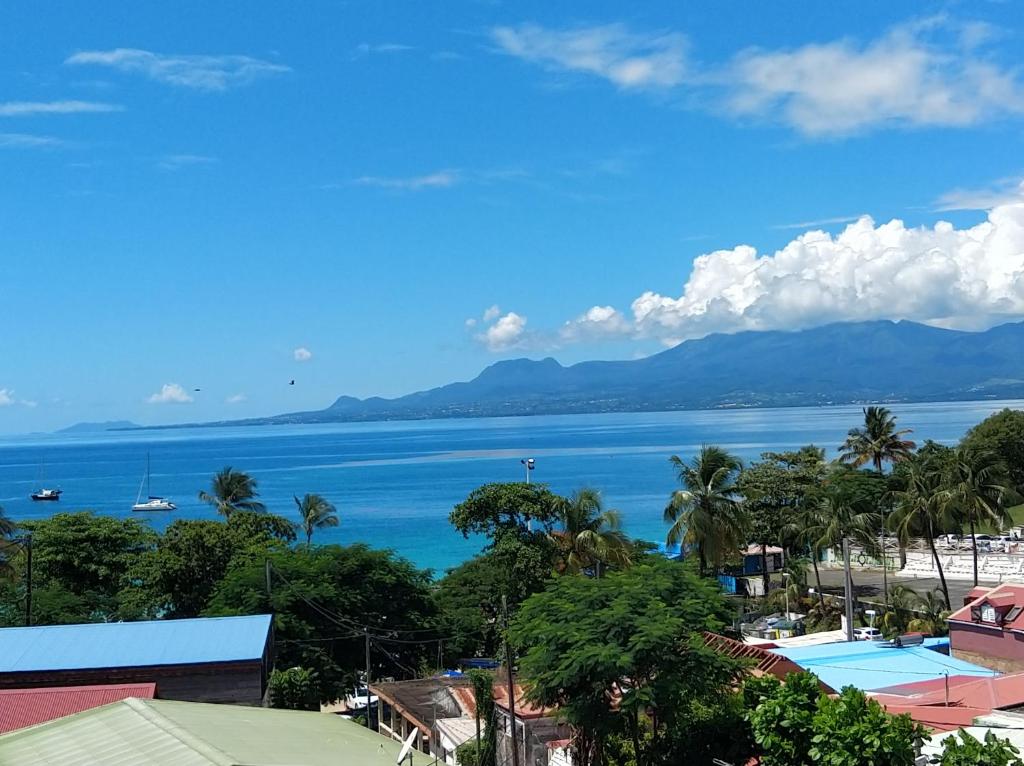 a view of a body of water with palm trees at Appartement vue mer et montagne à 100m de la plage in Le Gosier