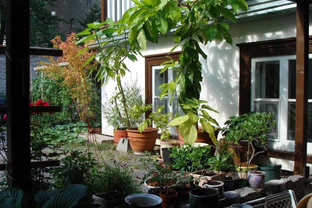 Zahrada ubytování Au Petit Hôtel