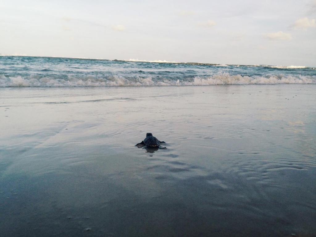  Apartamento na Praia da Pipa