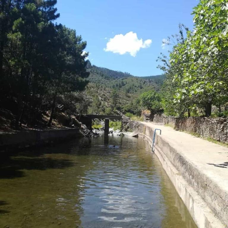 Príroda v okolí of the country house