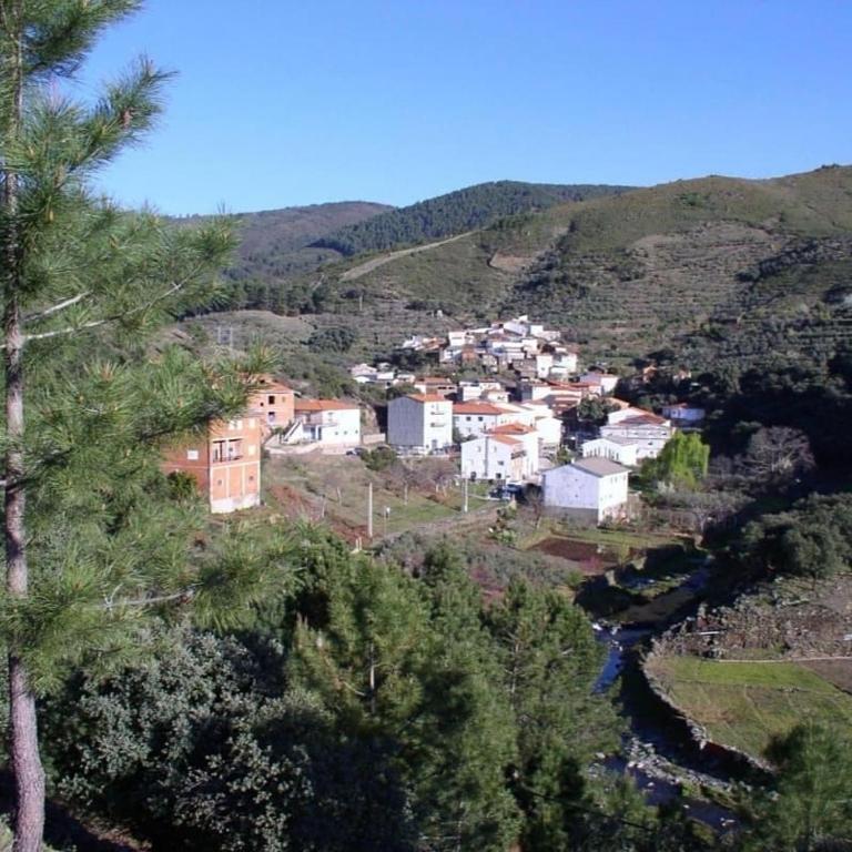 Príroda v okolí of the country house
