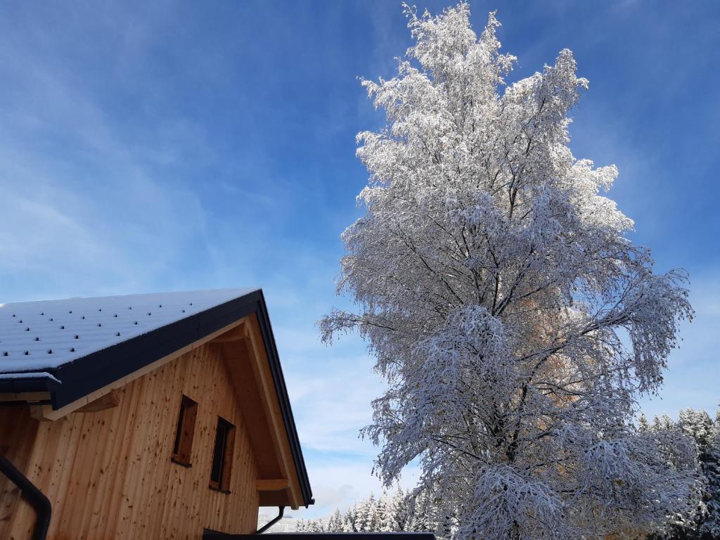 Auszeit Almhaus Schmalzbauer v zimě