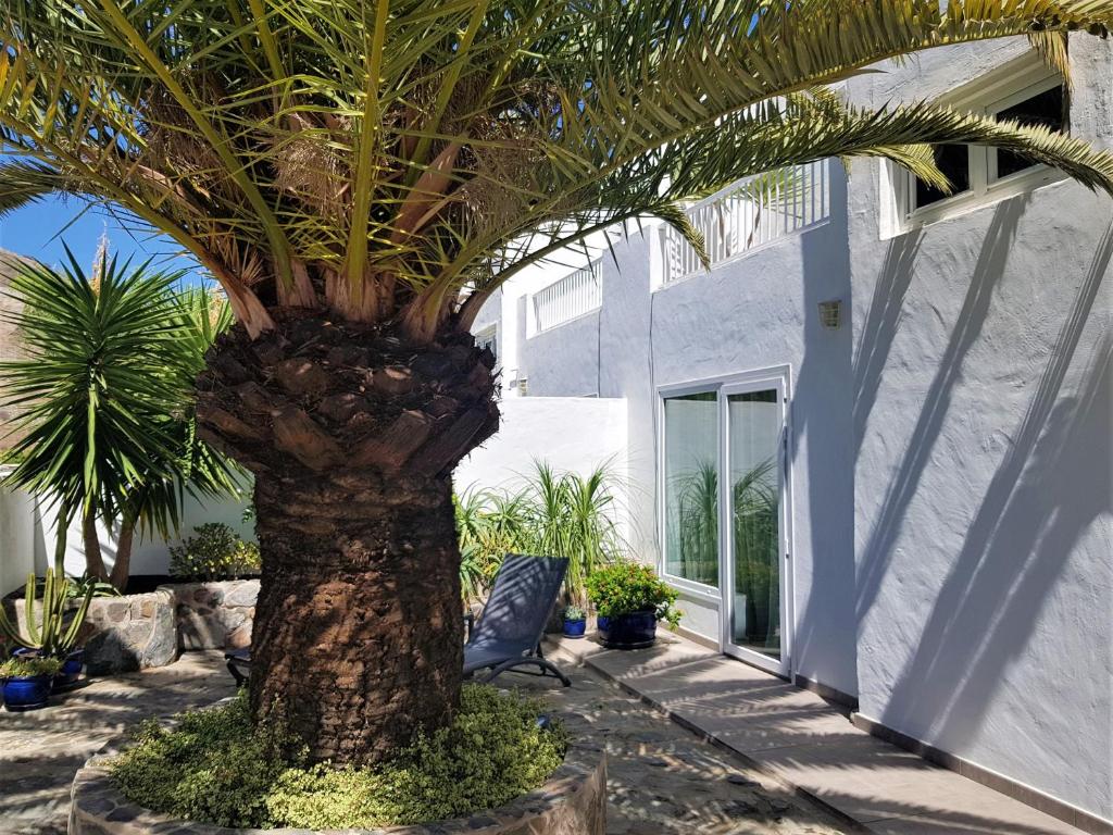 Κήπος έξω από το Casa La Palmera - Holiday house close to the beach