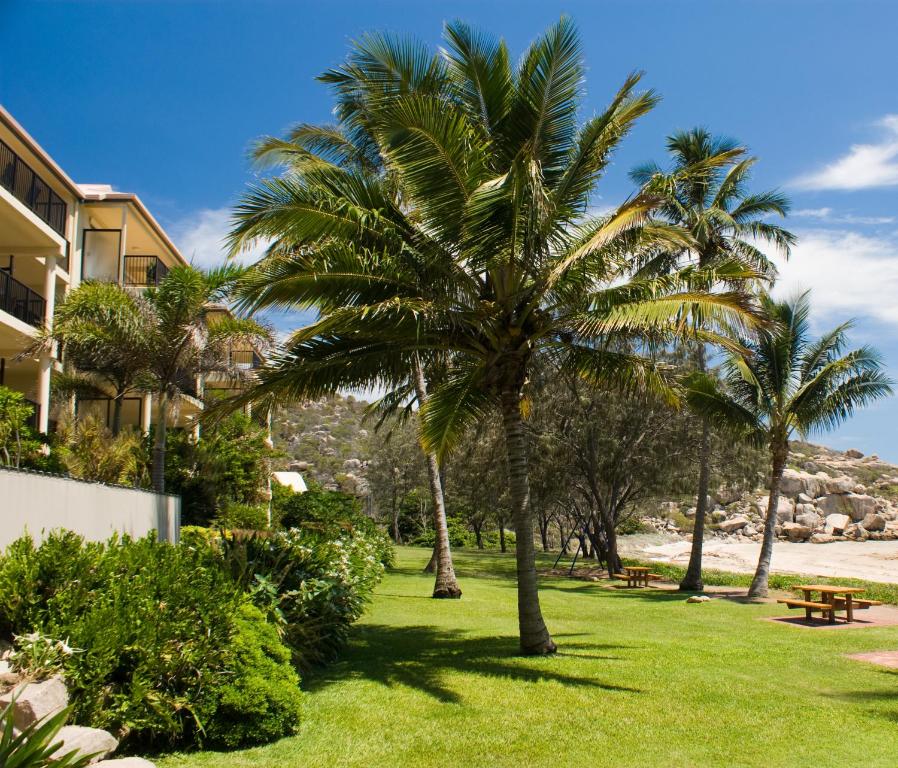 - un parc avec des palmiers et une table de pique-nique dans l'établissement Rose Bay Resort, à Bowen