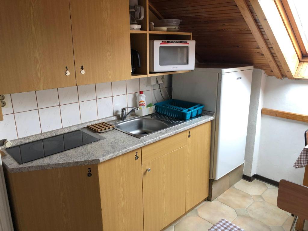 Kuchyň nebo kuchyňský kout v ubytování pension Jesen