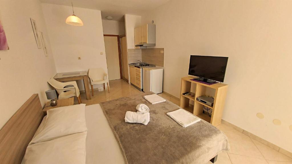 TV a/nebo společenská místnost v ubytování Apartments Nemira