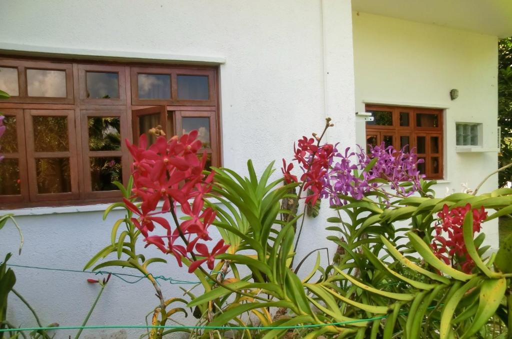 Un mazzo di fiori davanti a una casa di Orchid Sunset Guest House a Baie Lazare Mahé