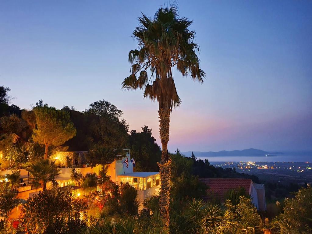 a palm tree in front of a house at night at Orea Ellas Kos - Deluxe Residences in Lagoúdi Zía