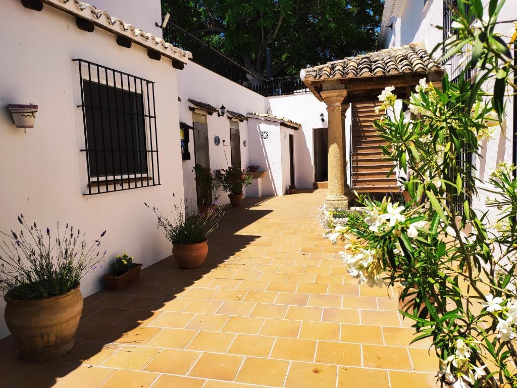 Apartamentos Rurales Molino de Abajo, Ribera Baja ...