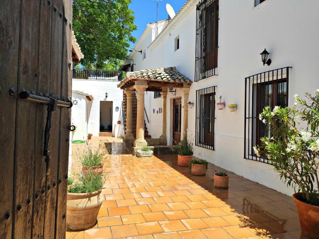 a courtyard of a house with potted plants at Complejo Apartamentos Rurales Molino de Abajo in Ribera Baja